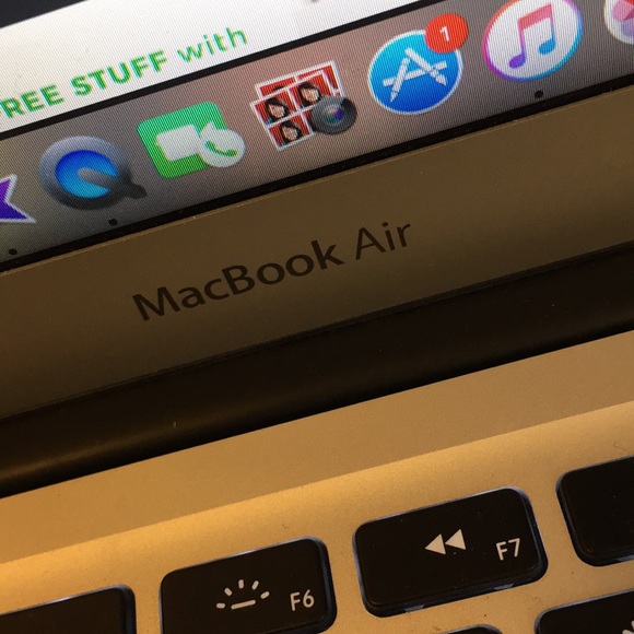 Meet your Posher, Daisy - Picture 1 of 1